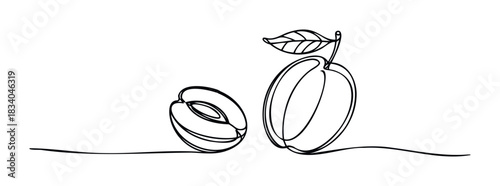 Continuous line drawing of a whole and halved plum with a leaf, representing freshness and natural goodness, perfect for food blogs and healthy eating promotions.