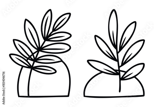 Two simple black outlines of plant branches emerging from abstract shapes, representing growth and nature, perfect for organic branding and decorative applications.