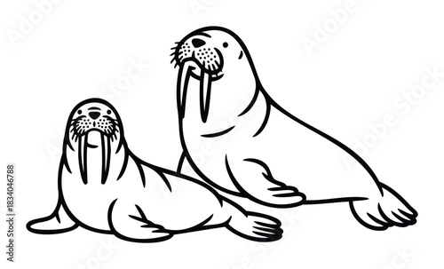 Two stylized walruses with tusks depicted in a bold black outline against a white background, perfect for ocean life themed projects or educational materials.