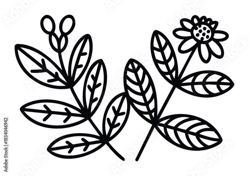 Simple Outline Botanical Elements Including a Flower and Leaves Representing Nature and Growth for Organic Branding and Healthcare Applications