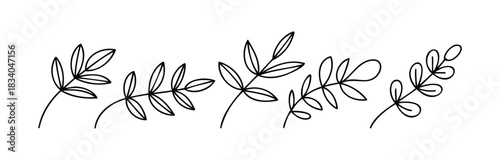 Simple black outline branches with leaves for floral design elements, useful for graphic embellishments and natural theme decorations.