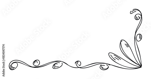 Decorative flourish with flowing lines and swirling shapes for elegant page borders and ornate accents in graphic projects