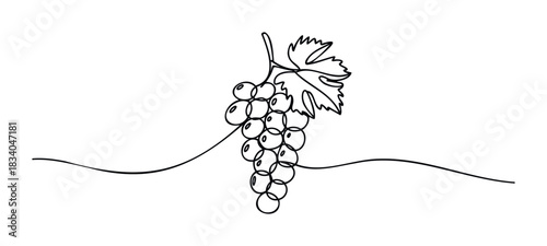Single line drawing of a bunch of grapes with a leaf and wavy line, perfect for food and drink or agriculture related projects