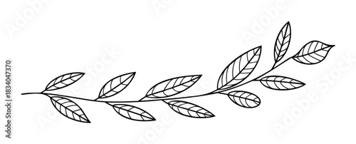 Delicate line drawing of a botanical branch with detailed leaves, perfect for natural themes, organic branding, and sophisticated decorative applications.