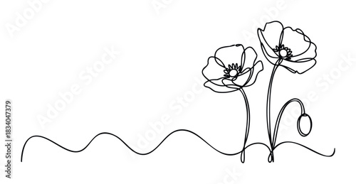 Minimalist single line drawing of two poppies with a swirling stem and bud, perfect for greeting cards, floral motifs, and natural themes.