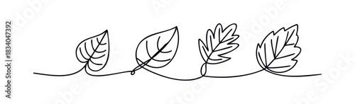 Simple black line drawing of four different leaf shapes connected by a flowing line, perfect for nature themed projects and organic branding.