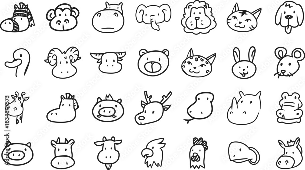 Obraz premium Animals