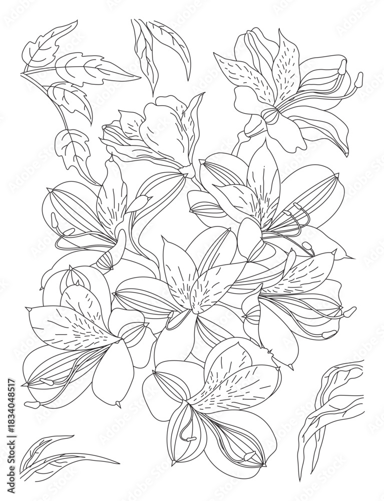 Obraz premium Alstroemeria Flower Line Art Illustration