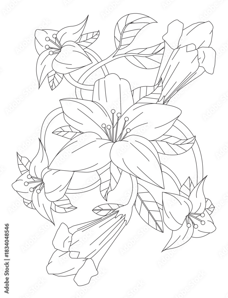Obraz premium Lily Flowers Line Art Drawing