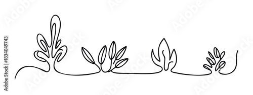 Minimalist continuous line drawing of organic plant foliage and leaves for naturethemed graphic projects and wellness branding applications