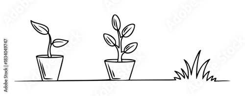 Simple line drawings show plant growth stages in pots and grass, perfect for themes of nature, development, and gardening in a clean, minimalist presentation.