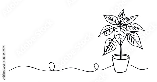 Line drawing of a potted poinsettia plant with swirling decorative lines, perfect for holiday greetings, festive decor, or botanical themes