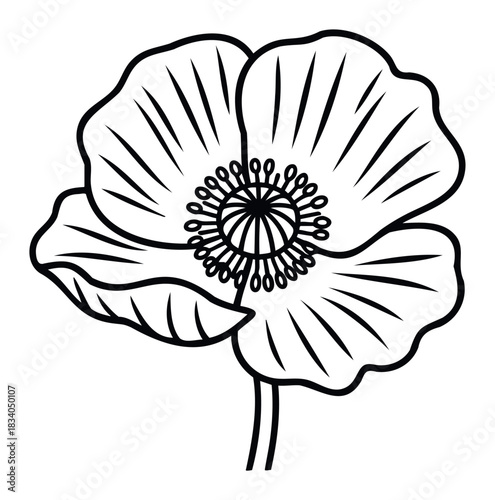 Outline of a delicate poppy flower with intricate center details and petals, ideal for nature themed invitations, summer decor, and floral design projects.