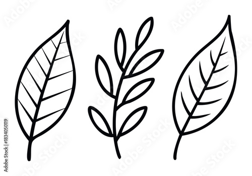Three simple line drawings of leaves and a sprig, perfect for natural, botanical, or organic themes in graphic applications and presentations