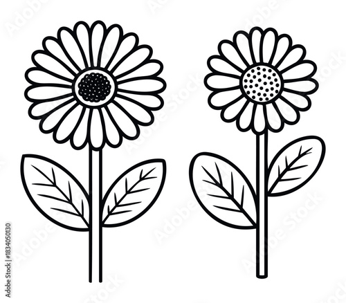 Two stylized outline flowers with leaves and stems, perfect for spring or summer themes, nature motifs, or gardening content for websites and publications.