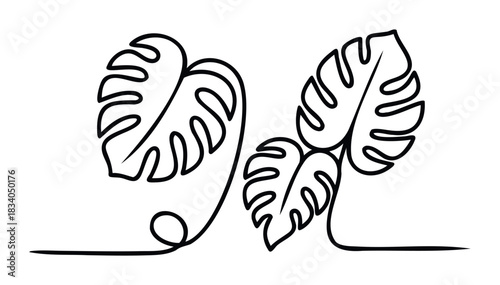 Bold black line drawing of tropical monstera leaves with flowing stems, perfect for botanical decor, logos, and naturethemed graphic concepts.