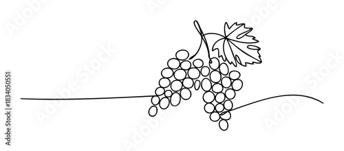 Minimalist single line drawing of a grape cluster with a leaf representing wine production and healthy eating, ideal for organic food branding and beverage marketing.