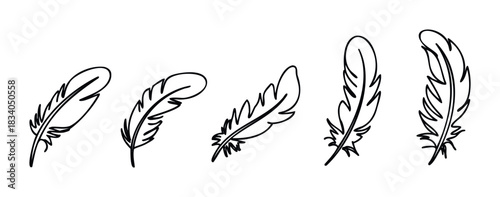 Black outline drawings of five different feathers gracefully arranged in a row, perfect for nature themed projects and abstract graphic uses.