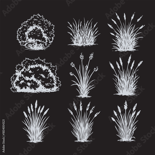Vector drawing set of ornamental plants and bushes