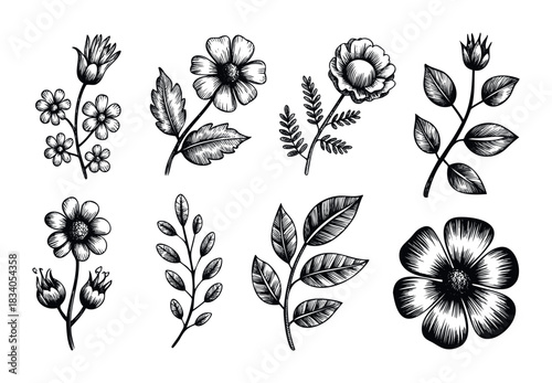Collection of vintage style botanical line drawings featuring various blooming flowers and leafy branches for elegant nature themed graphic projects