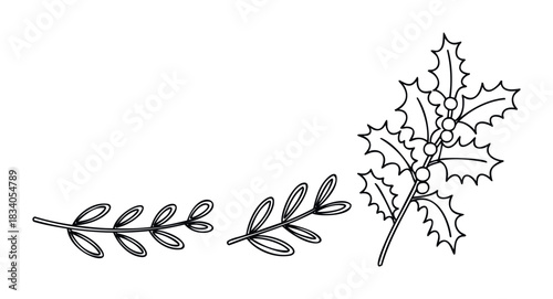 Festive foliage and holly branches, symbolizing winter holidays and natural adornment for seasonal decorations and greeting cards.
