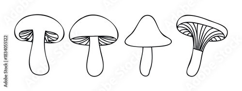 Line drawing collection of different mushroom shapes for foraging guides, culinary inspiration, or natural science education materials.