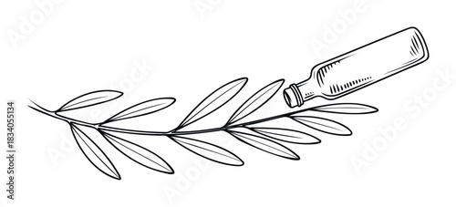 Line art depicts an olive branch with leaves connected to a small glass bottle, symbolizing natural extraction or liquid refreshment for wellness products