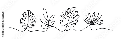 Continuous line drawing of diverse tropical leaves creating a natural border, perfect for botanical graphics, invitations, and organic branding applications.