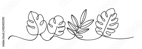 Minimalist single line drawing of tropical leaves for a natural and organic feel in organic graphic layouts and botanical decoration projects