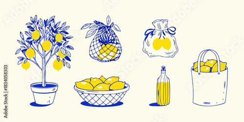 Hand drawn lemon illustration with tree basket bag and bottle
