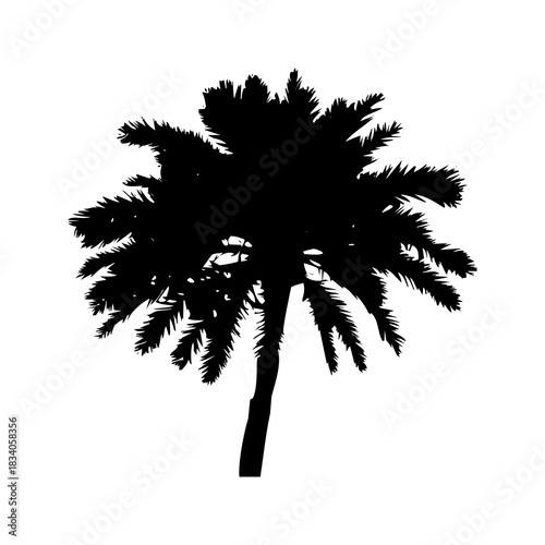palm tree design on white background