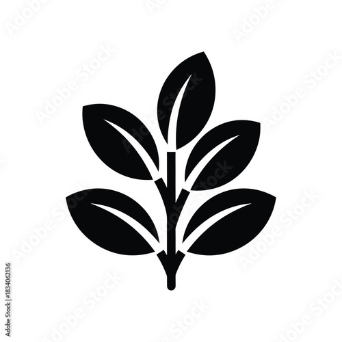 Black silhouette of a plant branch with leaves vector icon