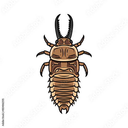 vector antlion with white background