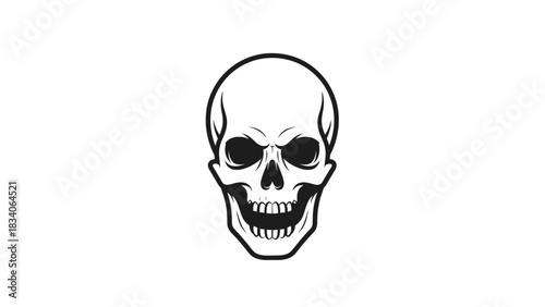 A detailed black and white illustration of a human skull facing forward.