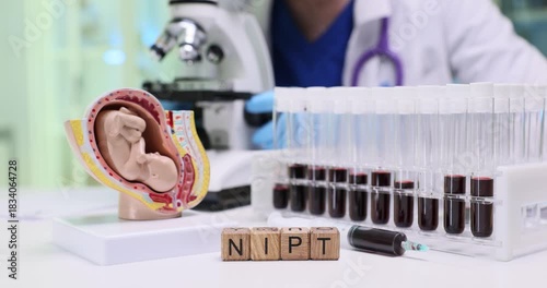 NIPT abbreviation of cubes near blood samples and fetus model in clinic. Non invasive prenatal testing for chromosomal abnormalities in unborn baby