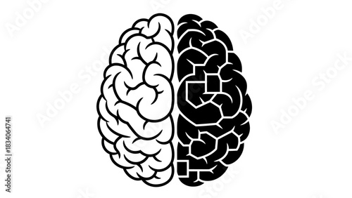 Creative and logical brain hemispheres vector illustration.