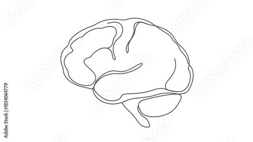 Brain outline illustration representing thought process and cognitive functions.