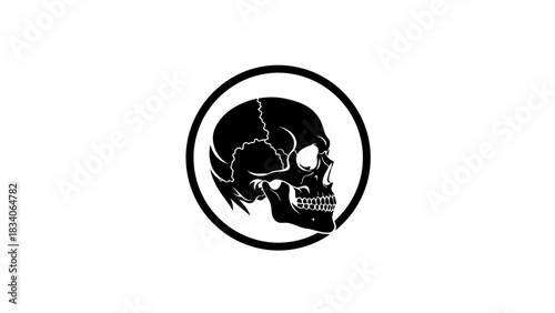 Monochrome Skull Emblem - A Symbol of Mortality and Intimidation.