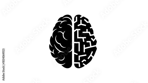 Brain with Two Hemispheres - Analytical and Creative Thinking Concept.