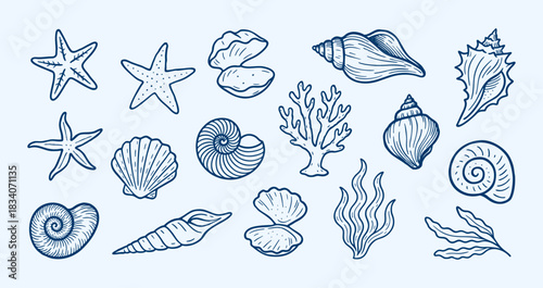 Hand Drawn Seashell, Starfish Marine Icons Set. Nautical vector set of hand drawn seashells, starfish, coral and seaweed in blue line art, ideal for beach branding, summer patterns and decor. Vector