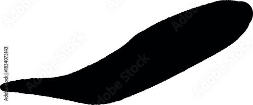 Black silhouette of leech isolated on white background