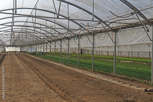 Gewächshaus mit diversen Anpflanzungen