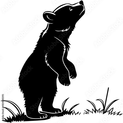 Bear Cub Silhouette – Upright Pose with Grass and Curiosity