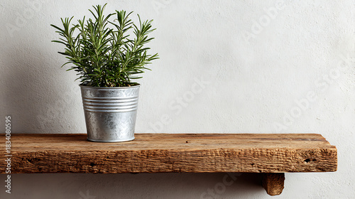 Potted rosemary herb plant in metal bucket sitting on rustic wooden shelf against white wall, home gardening and kitchen decor.