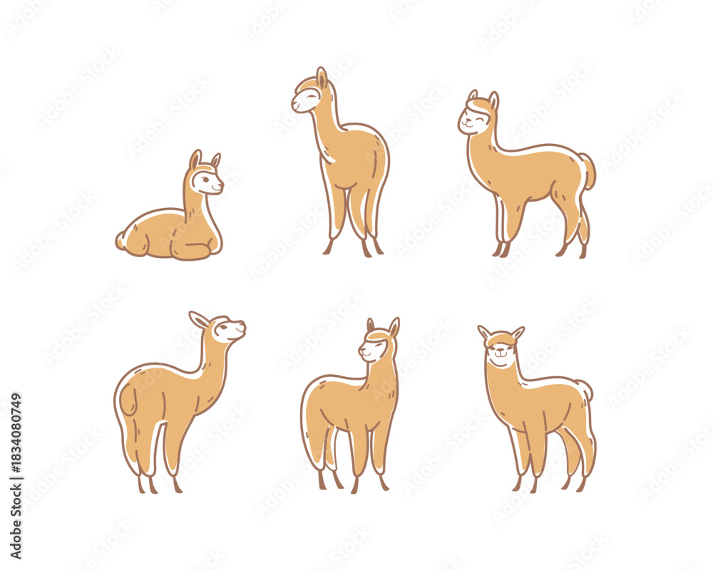 Fototapeta premium Cartoon alpaca in various poses. Сute animals set of icons. Contour vector illustration.