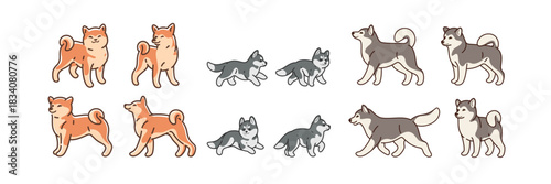 Malamute, Husky, Akita Inu dogs. Cartoon dogs sketch line icon.