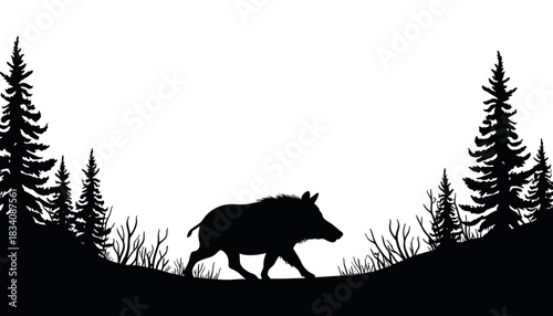 Wild boar walking in silhouette among pine trees  