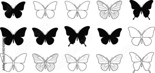 Collection of black silhouette and outline butterflies on white background butterfly