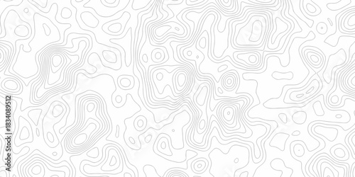 Minimal area white line geometric grid topo map outline. paper curve counter map and wavy topography. relief discovery area white, black line texture background.	