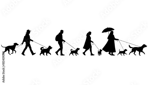 Person Walking Dog Top View